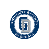 Gwinnett Bandits